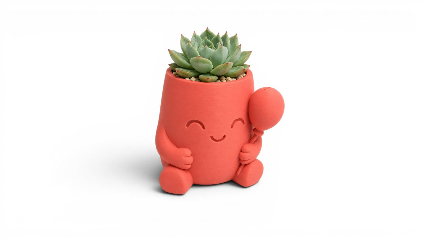 🌵 עציץ סוקולנט מתוק בעיצוב דמות מחייכת עם בלון