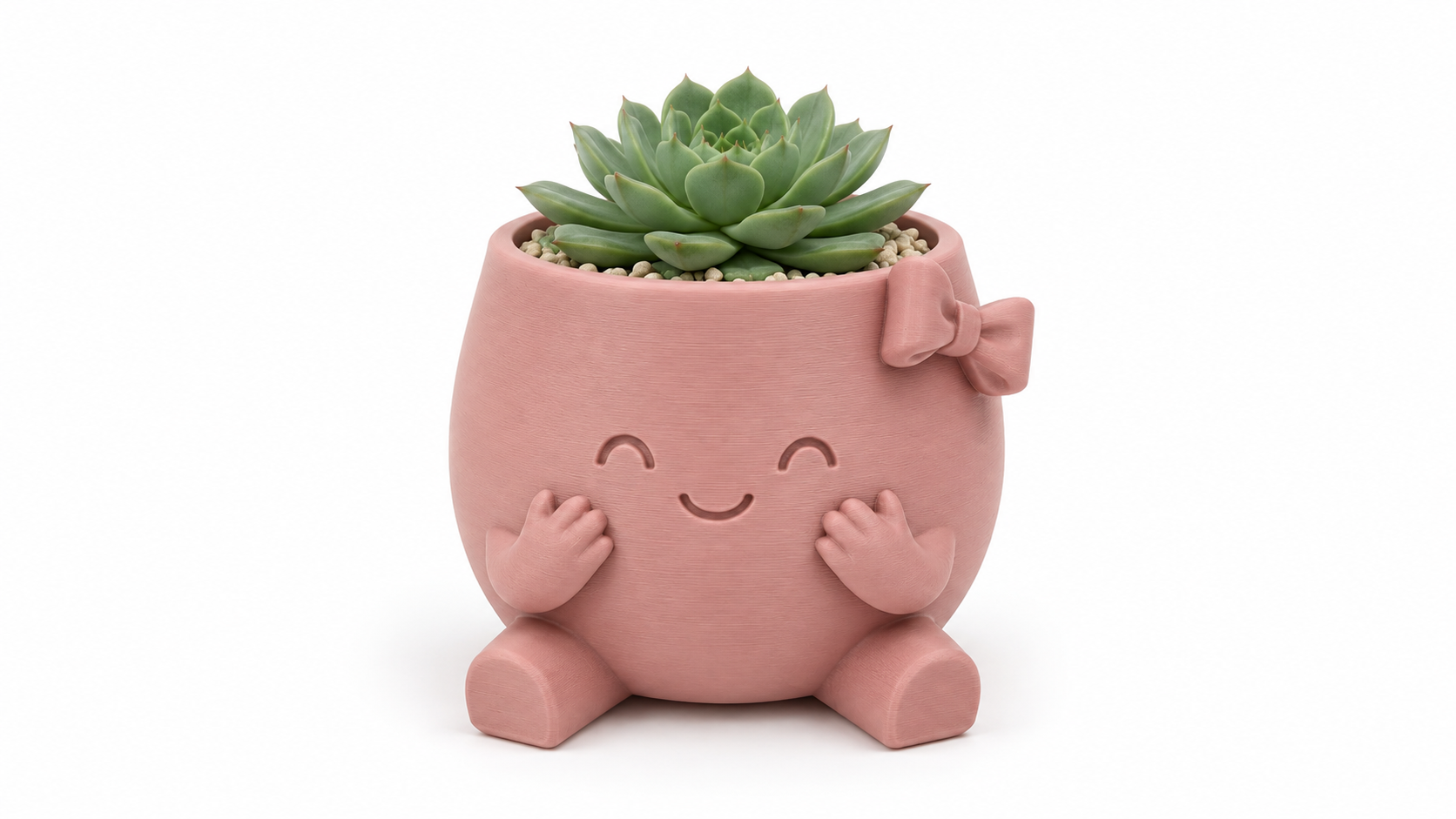 כד סוקולנט ורוד עם פפיון 🌿🎀