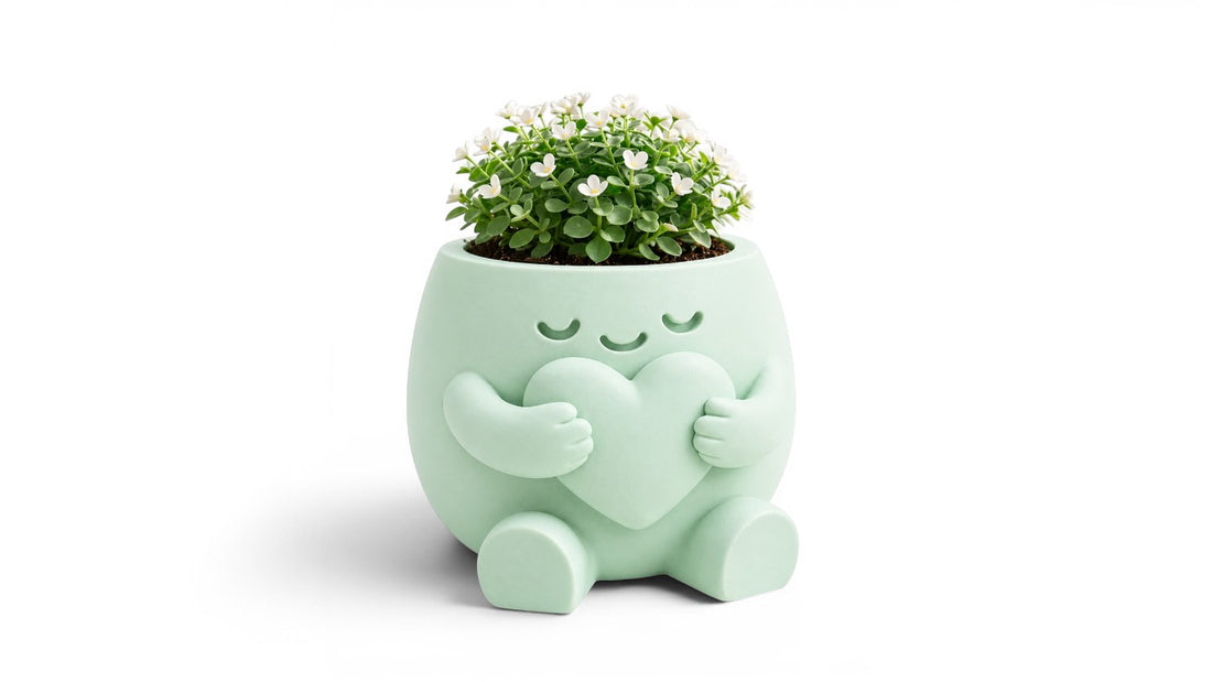 כד דקורטיבי עם צמח פורח חי – 💚🌸