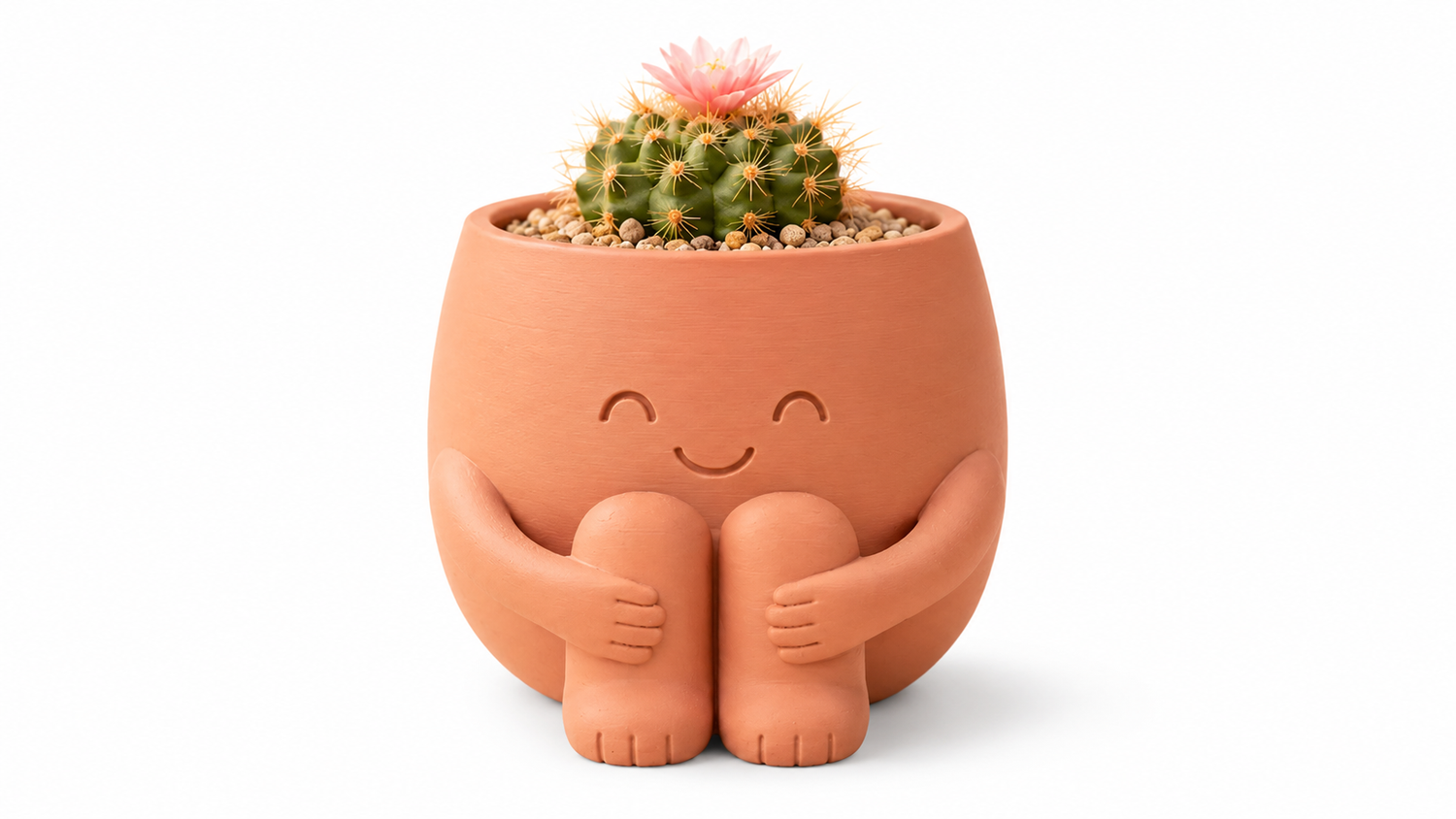 עציץ מחבק עם סוקולנט 🌵