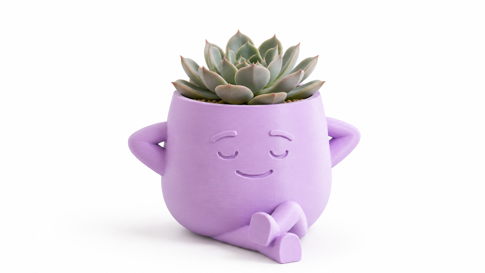 🌿 עציץ דמות עם סוקולנט חי