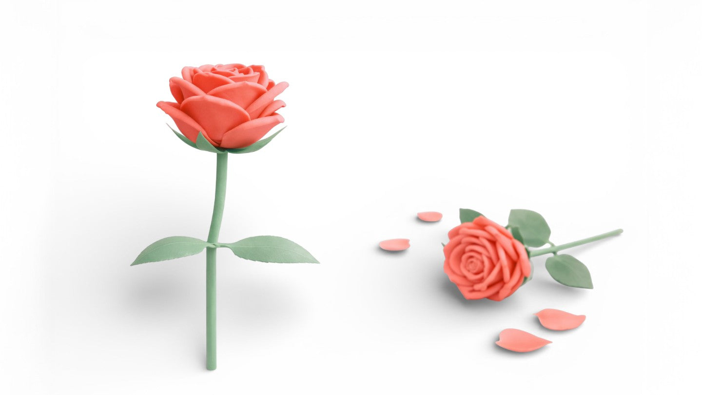 Rose Bud – ורוד קורל 🌸