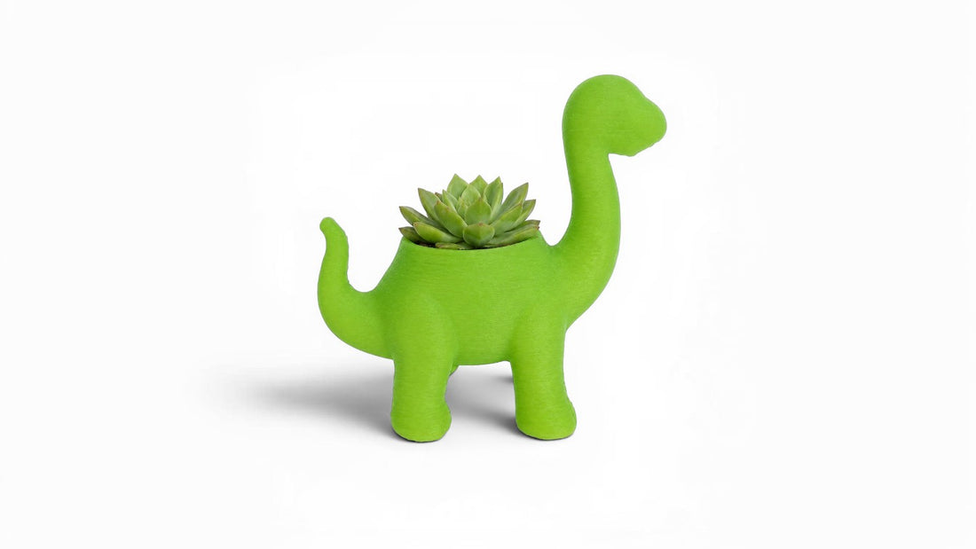 עציץ דינוזאור צבעוני עם סוקולנט טבעי 🦕🌱