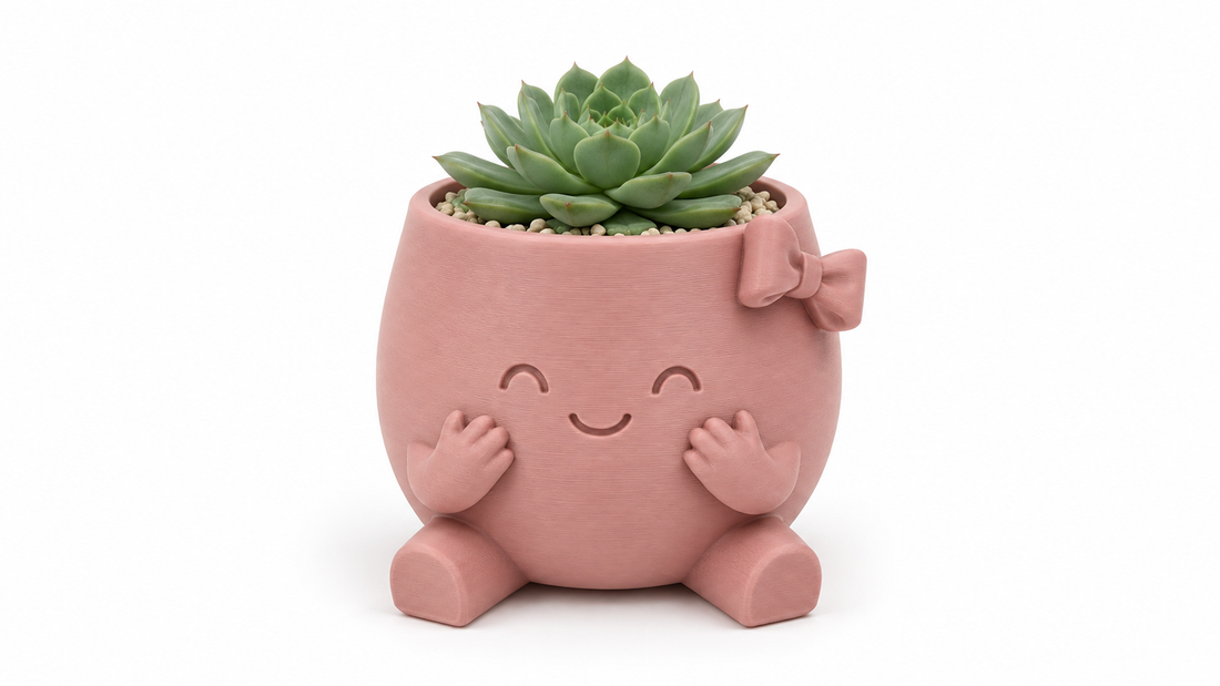 כד סוקולנט ורוד עם פפיון 🌿🎀