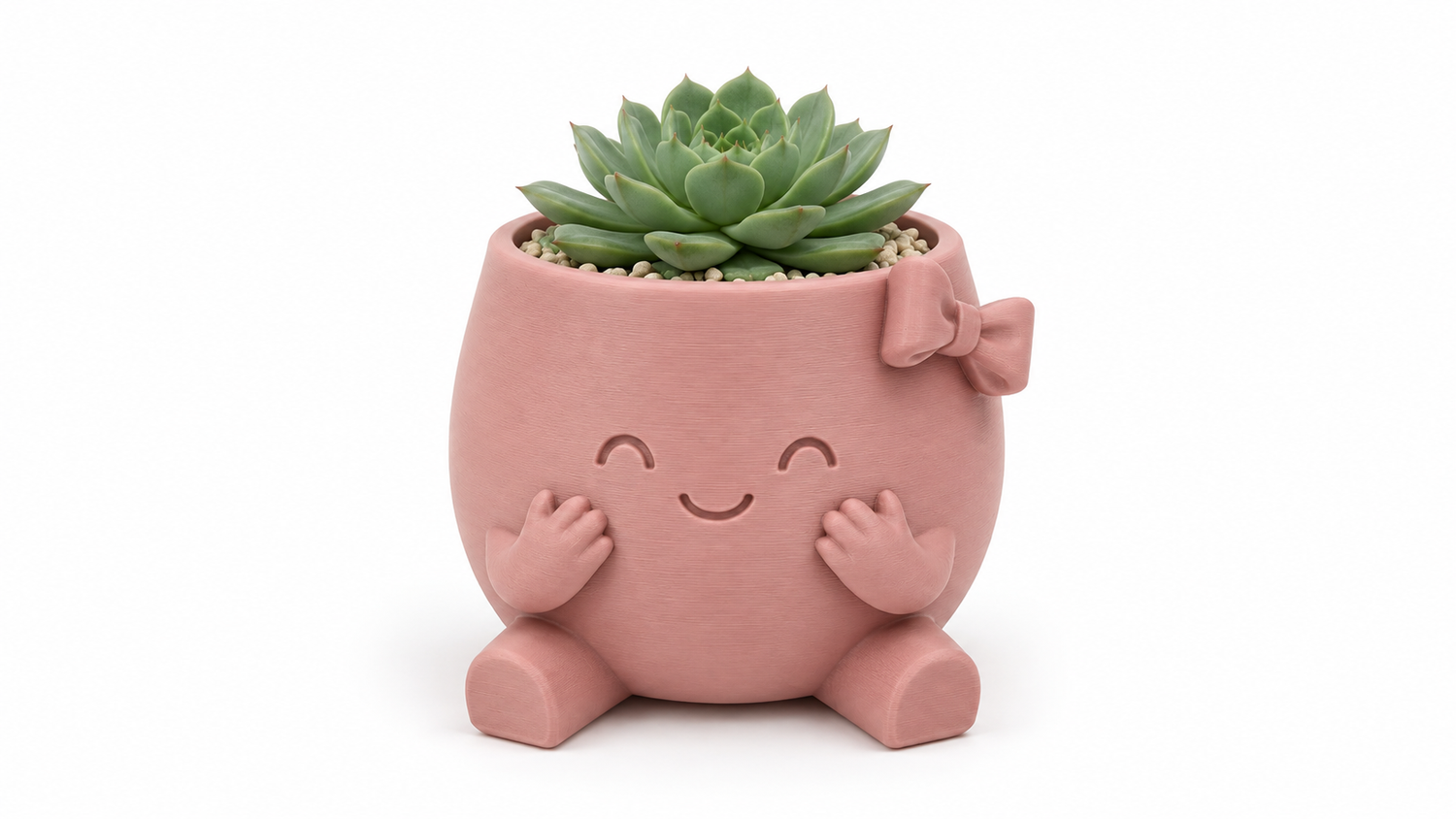 כד סוקולנט ורוד עם פפיון 🌿🎀