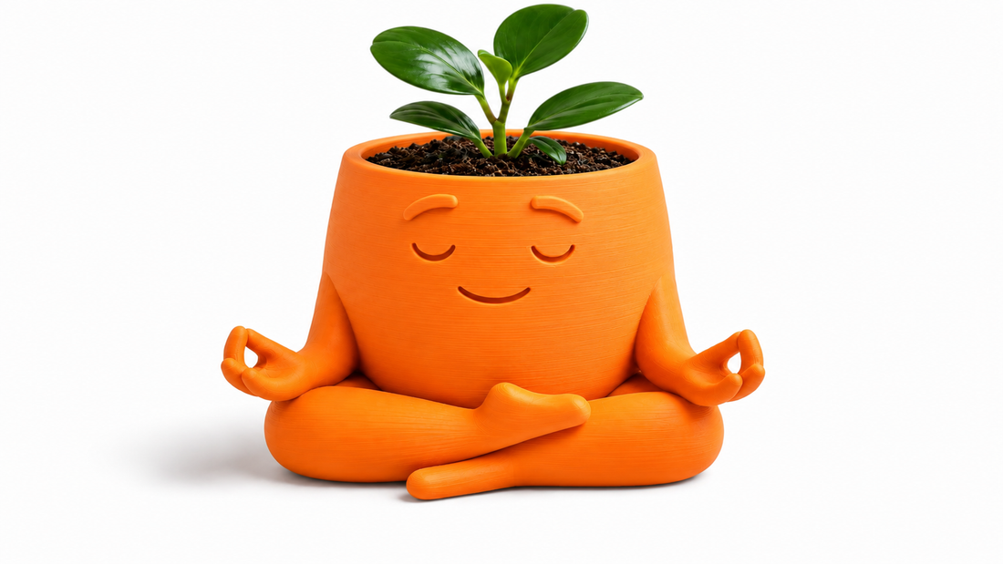 Zen Plant 🌿