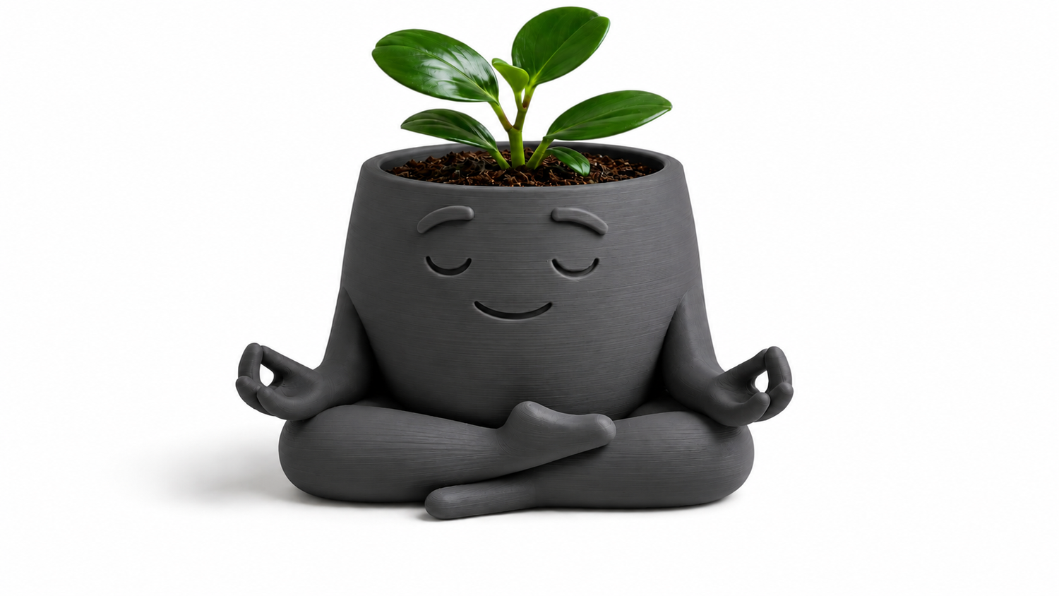 Zen Plant 🌿