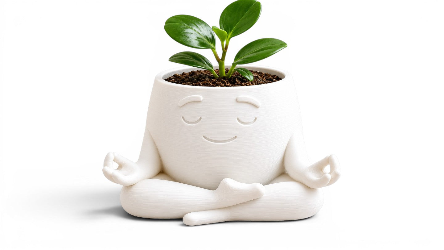 Zen Plant 🌿