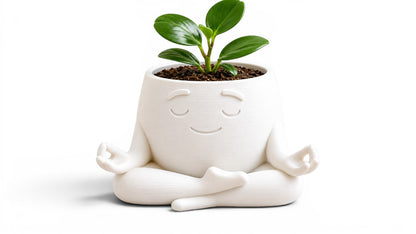 Zen Plant 🌿