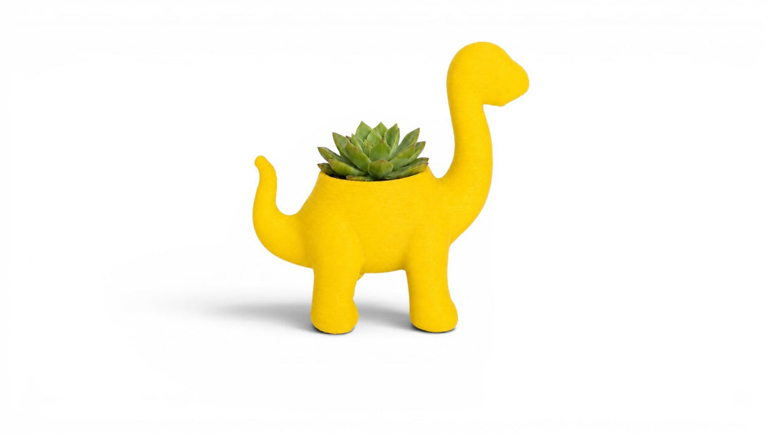 עציץ דינוזאור צבעוני עם סוקולנט טבעי 🦕🌱